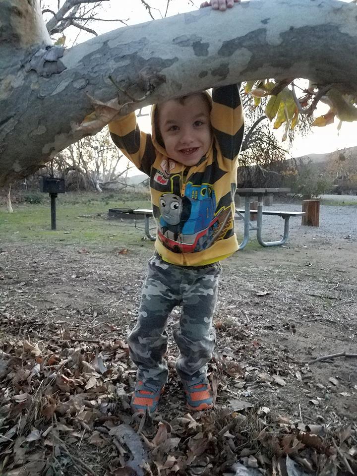 photo of Ely for blog